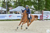 Vente de cheval : Cellando Di Sablee